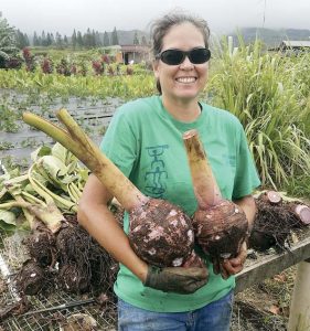 Maui physician, vaccination team  honored for volunteer efforts